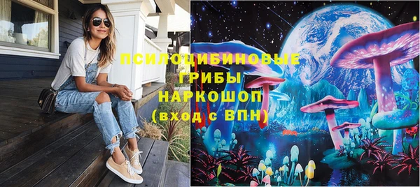 тгк Аркадак