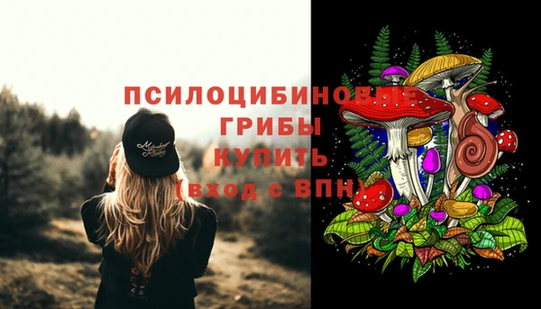 тгк Аркадак