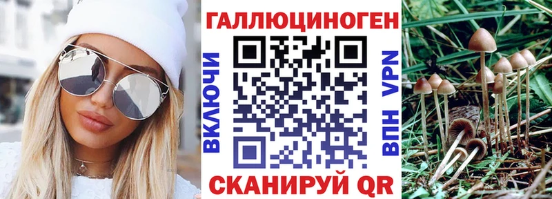 Галлюциногенные грибы Cubensis  купить наркотики цена  Сунжа 